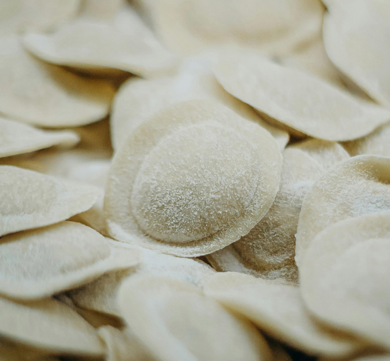 RistoranteVallesia Accueil Raviolis
